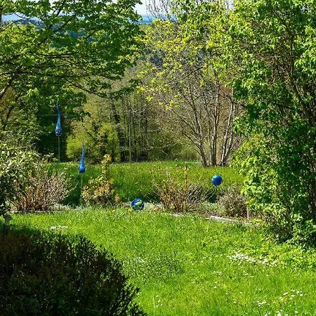 Bauer - Auszeit Mit Ausblick Apartamento *